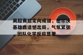 关于英超赛后走向成谜,密尔沃基雄鹿遗憾出局,气氛紧张,团队化学反应显著的信息-九游娱乐
